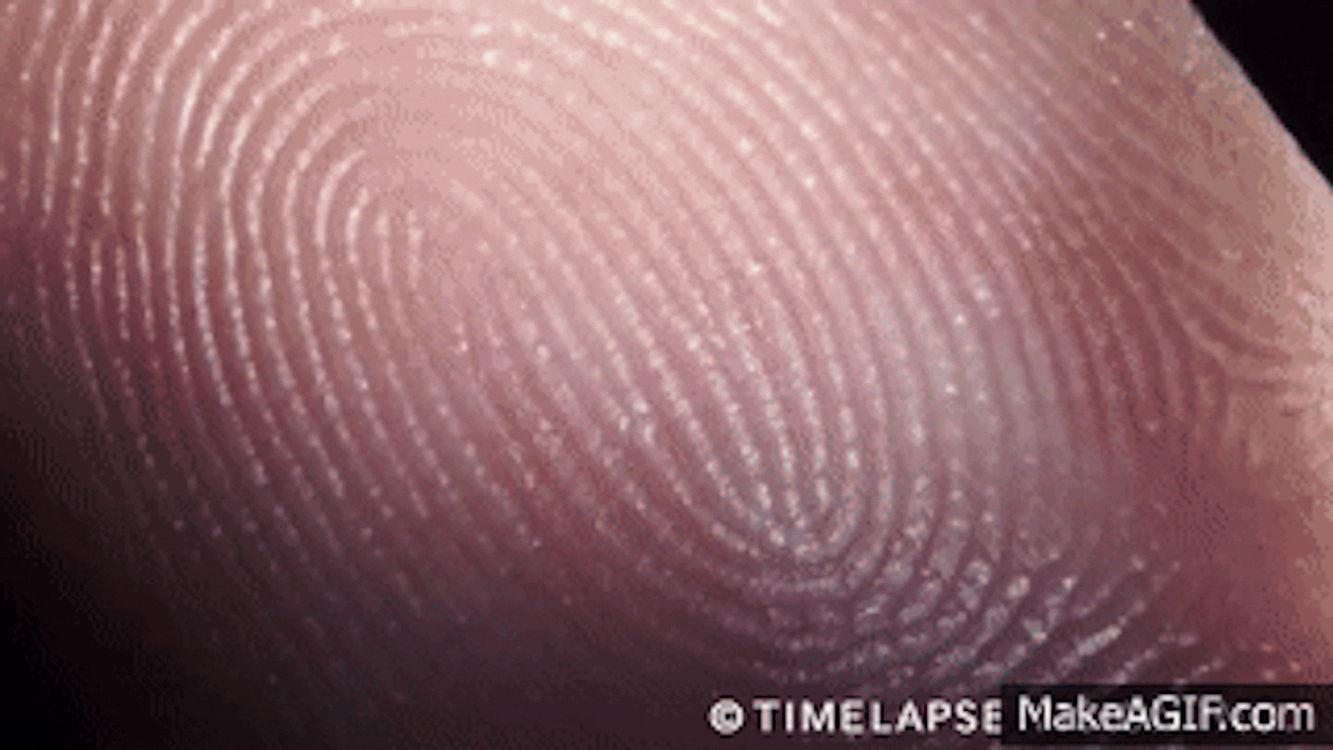 Se hvordan fingeravtrykket ditt blir til på nært hold